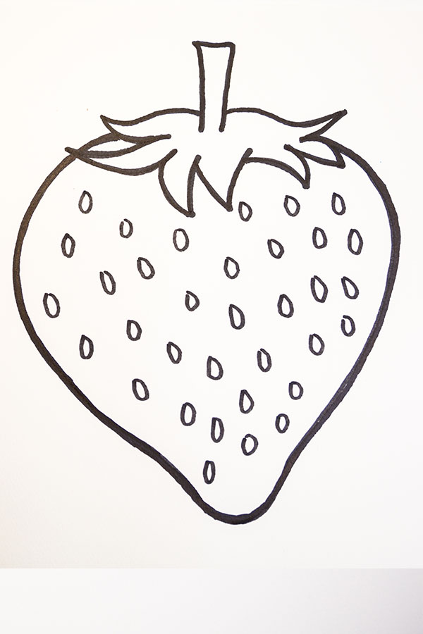 sketch strawberry drawing