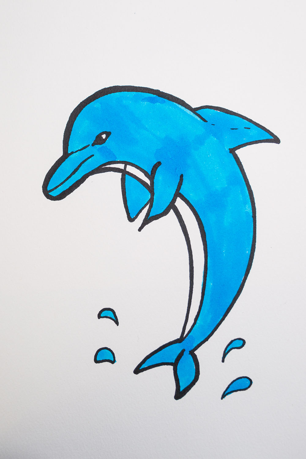 How to draw and color dolphins