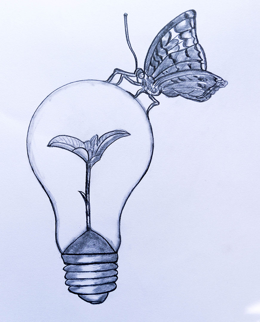 Butterfly and creative light bulb