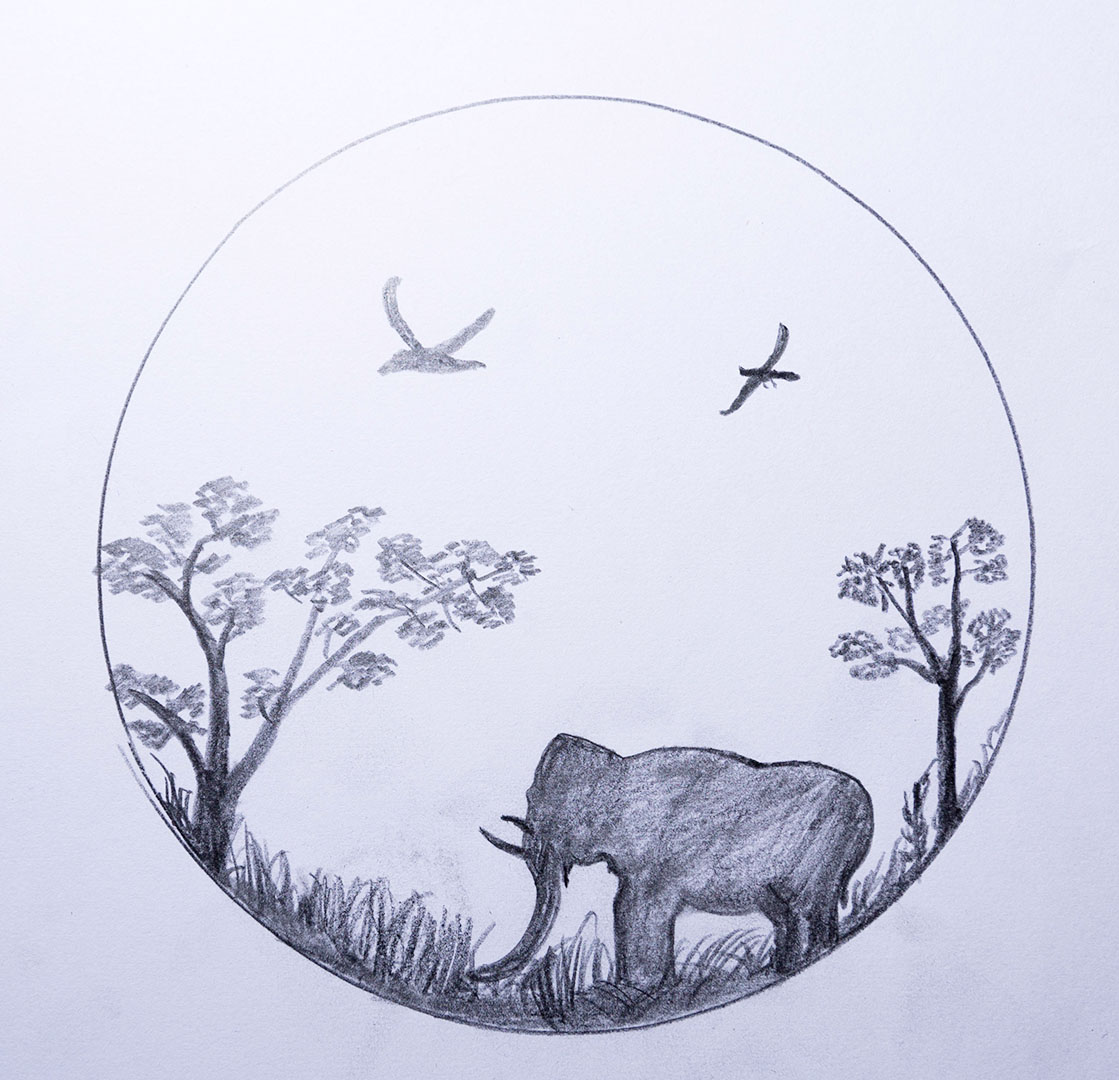 How to draw an elephant silhouette
