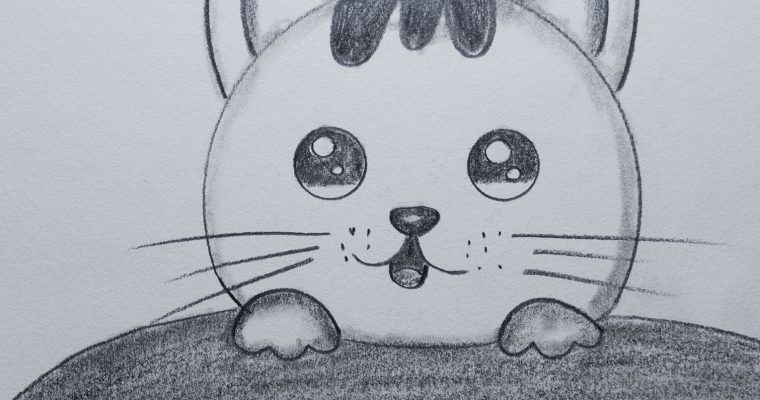 how to draw a cute cat easily