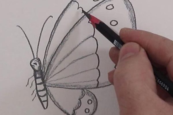 How To Draw Easy Butterfly Step By Step