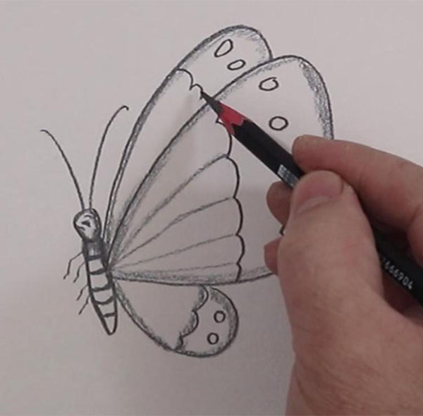 How To Draw Easy Butterfly Step By Step